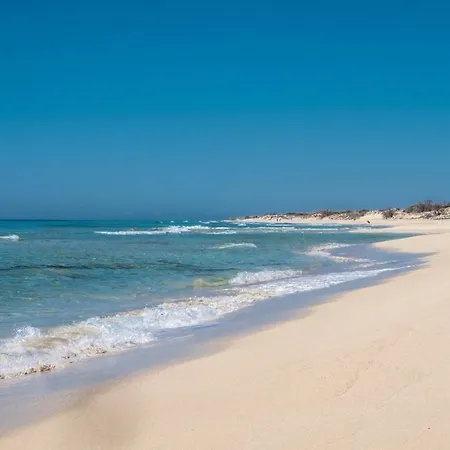Casa Al Mare Con Vista - Posto Vecchio 350 Metri Dal Mare Prázdninový dům Torre Vado