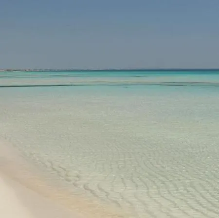 Casa Al Mare Con Vista - Posto Vecchio 350 Metri Dal Mare Torre Vado